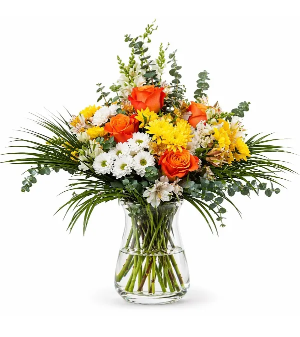 Produkt Promyk Słońca Zdjęcie