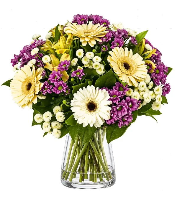 Produkt Piękny Dzień Zdjęcie