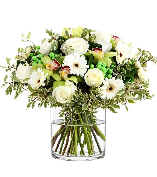 Produkt Biały Świat Zdjęcie