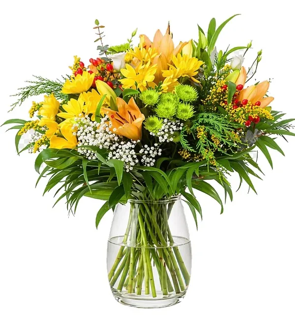 Produkt Nowinka Zdjęcie