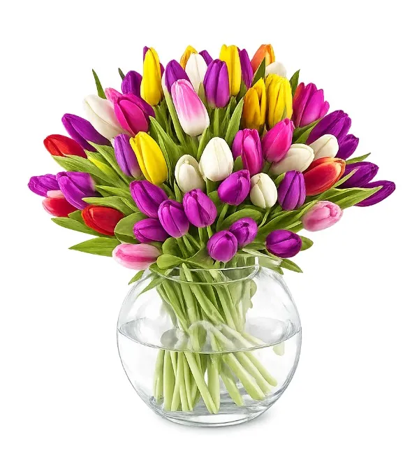 Product Tulip madness Image