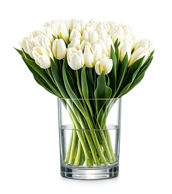 Product 30 white tulips Image