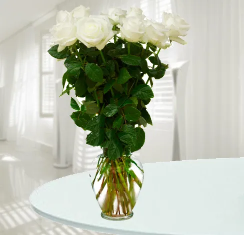 Produkt 11 Białych Róż Zdjęcie