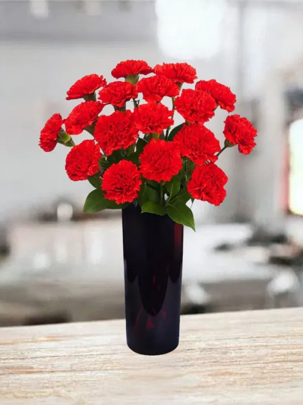 Produkt 15 czerwonych goździków Zdjęcie