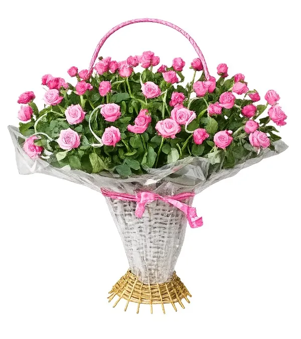 Produkt Moc Słodyczy Zdjęcie