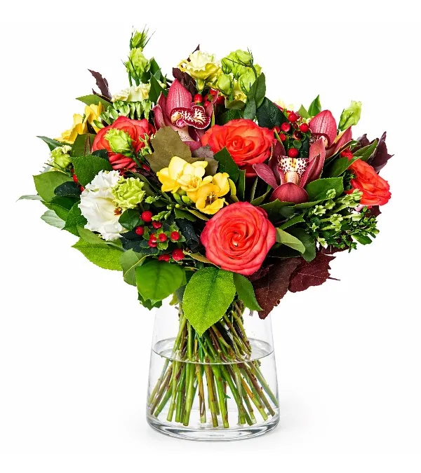 Produkt Prawdziwe Kolory Zdjęcie