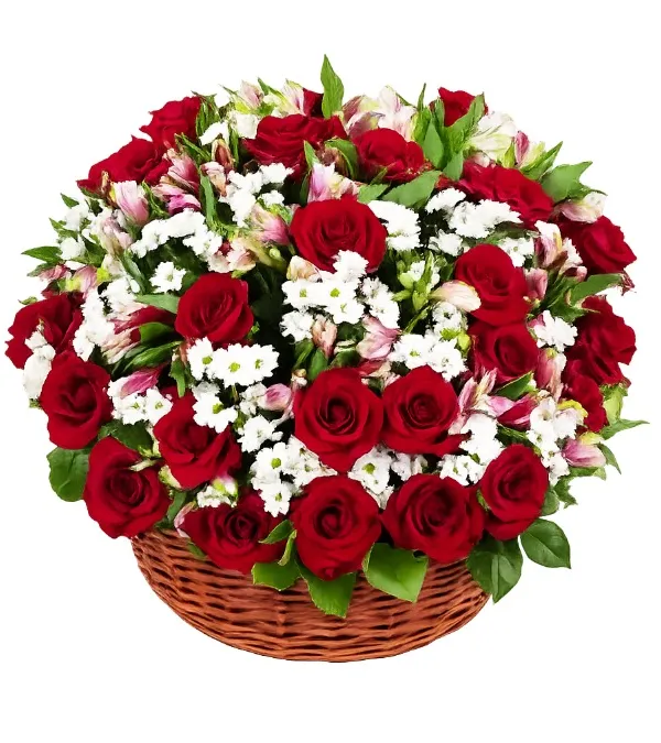 Produkt Podniebny Kosz Zdjęcie