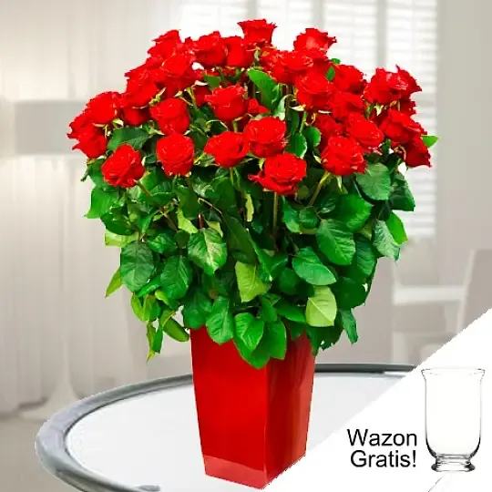 Produkt 60 Czerwonych Róż - Niemcy Zdjęcie