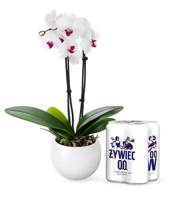Product Orchid and Żywiec free Image