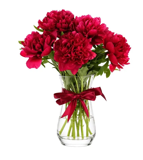 Produkt Czerwone Goździki Zdjęcie