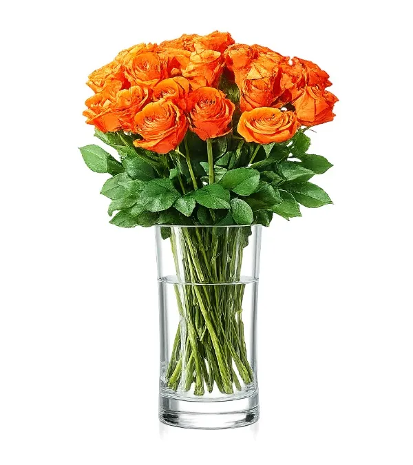 Produkt 23 Herbaciane Róże Zdjęcie