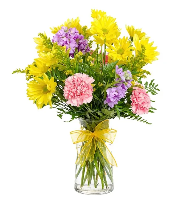 Produkt Letni Poranek Zdjęcie