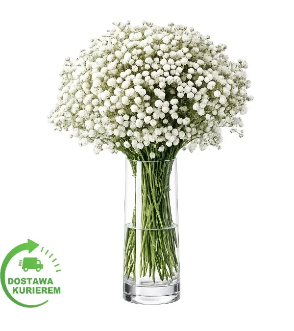 Produkt Bukiet gipsówki (500g) Zdjęcie