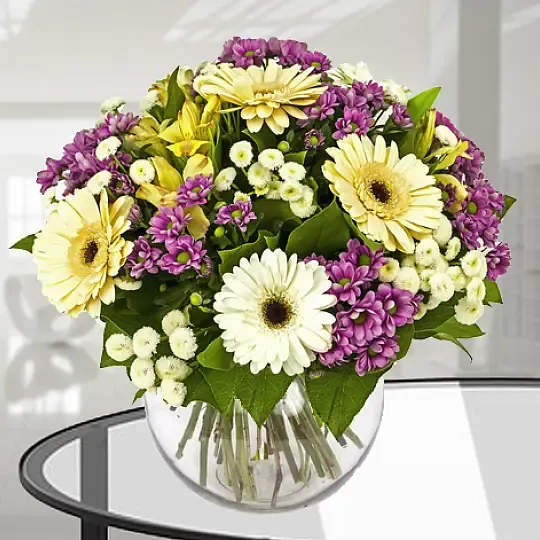 Produkt Piękny Dzień Zdjęcie