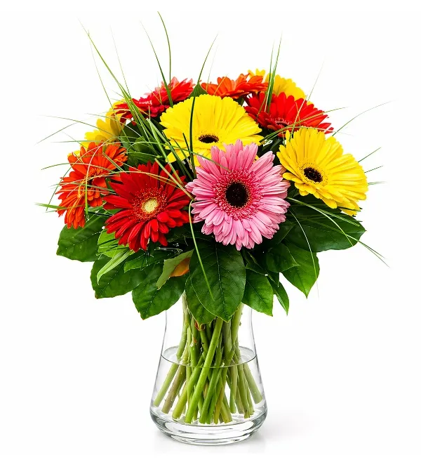 Produkt Kolorowe Gerbery Zdjęcie