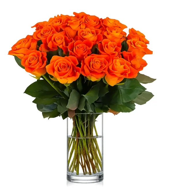 Produkt 21 Herbacianych Róż Zdjęcie