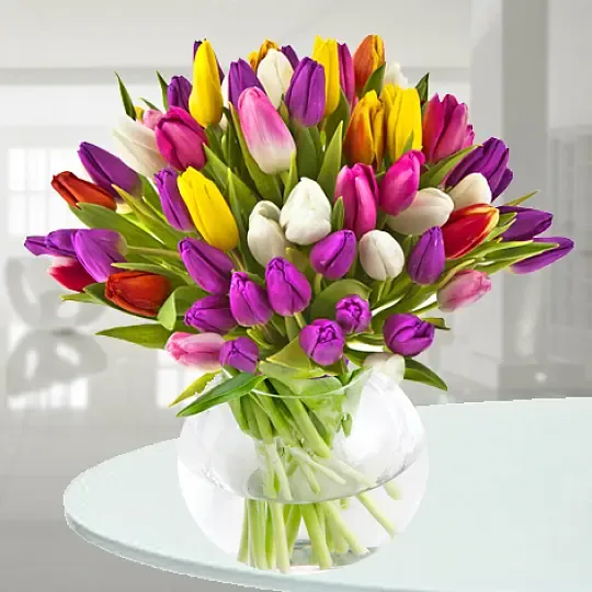 Produkt Tulipanowy szał Zdjęcie