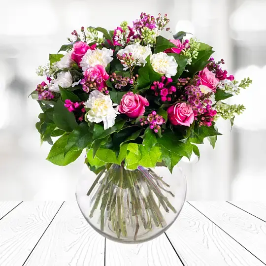 Produkt Świeże Początki Zdjęcie