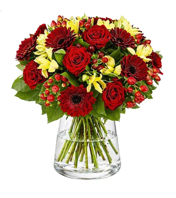 Produkt Czerwony Szyk - Holandia Zdjęcie