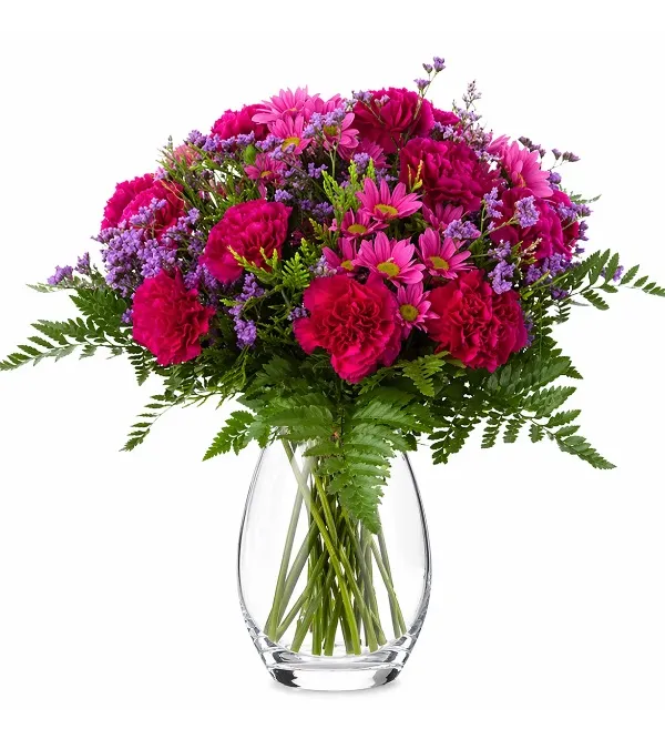 Produkt Purpurowy Deszcz Zdjęcie