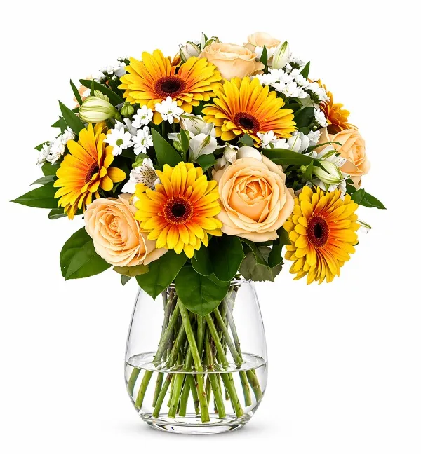 Produkt Słoneczna Sensacja Zdjęcie