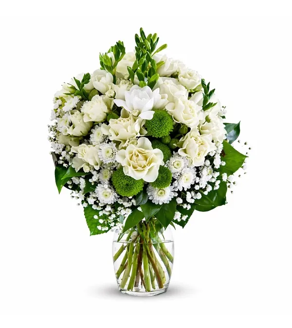 Produkt Zieleń i Biel Zdjęcie