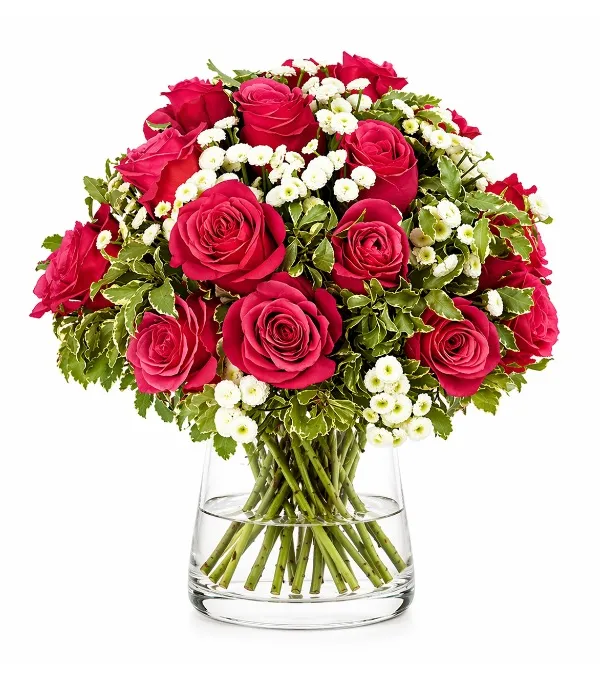 Produkt Ponadczasowa Klasa Zdjęcie