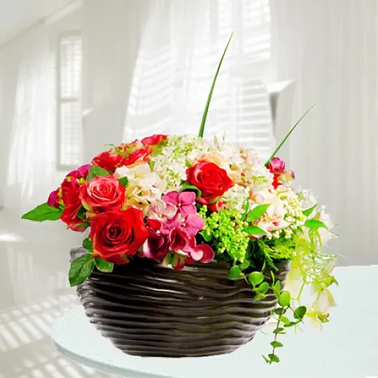 Produkt Jak z Bajki Zdjęcie