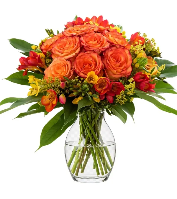 Produkt Kolory Jesieni Zdjęcie