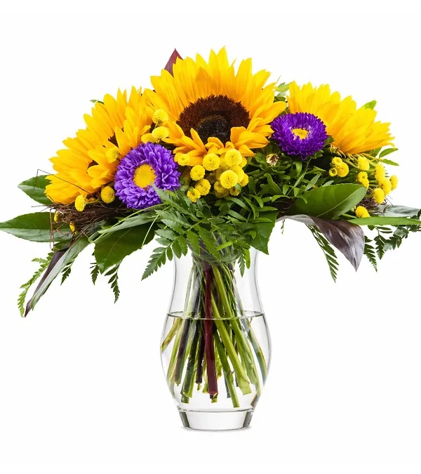 Produkt Letni Sen Zdjęcie