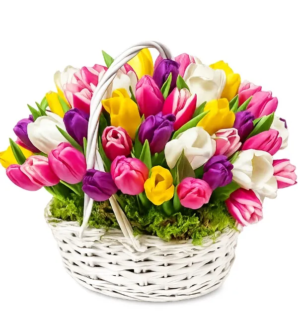 Product 50 Tulips in a Basket Image