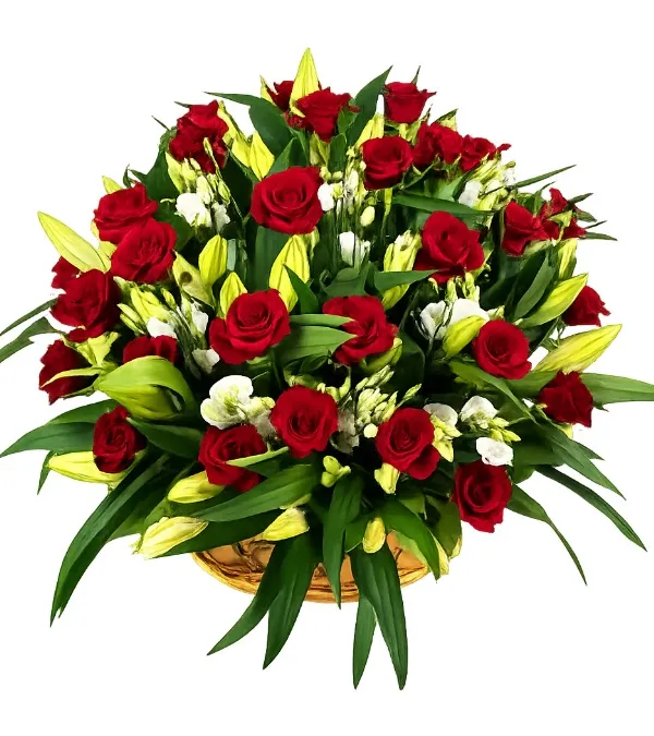 Produkt Gorący Kosz Zdjęcie