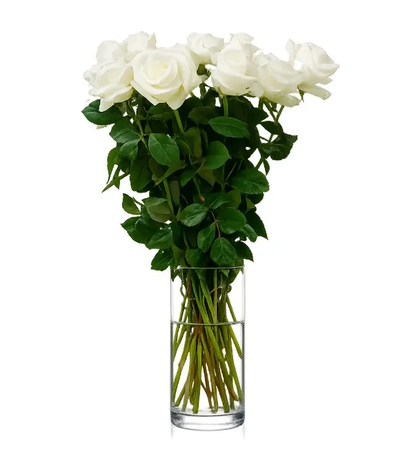 Produkt 11 Białych Róż Zdjęcie