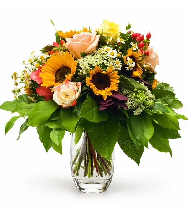 Produkt W Rozkwicie Zdjęcie