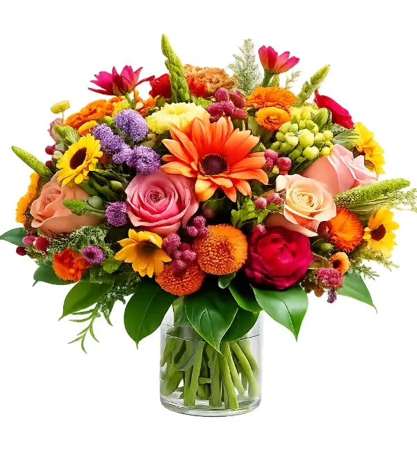 Produkt Letni Ogród Zdjęcie