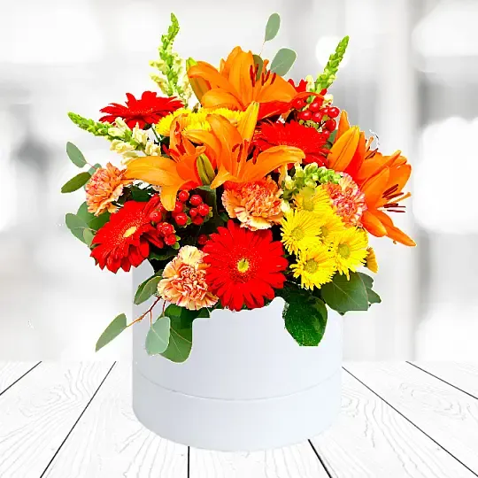 Produkt Flowerbox Ekscytujący Zdjęcie