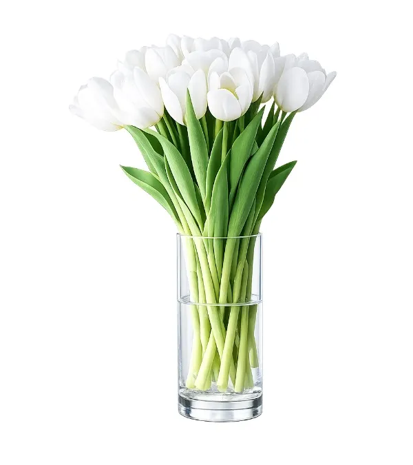 Product 11 white tulips Image