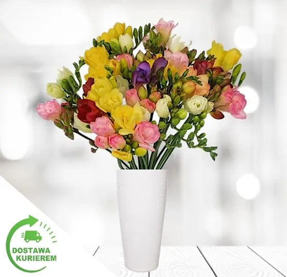 Produkt Bukiet 25 kolorowych frezji Zdjęcie