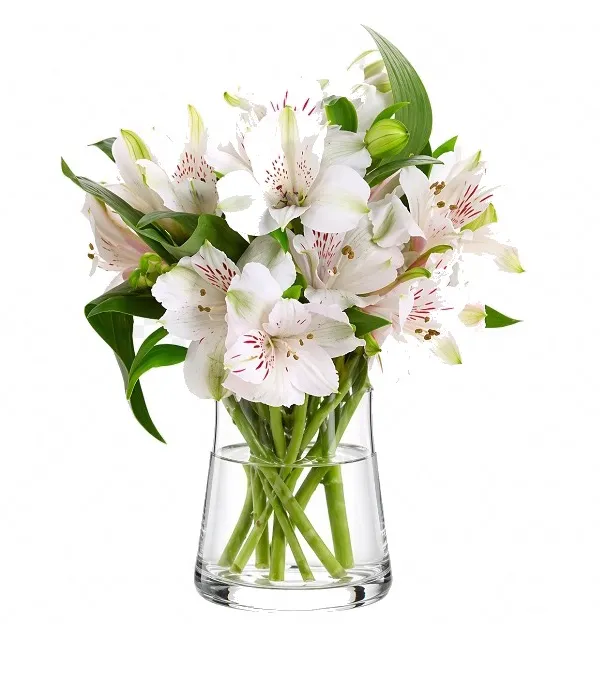 Produkt Białe Alstromerie Zdjęcie