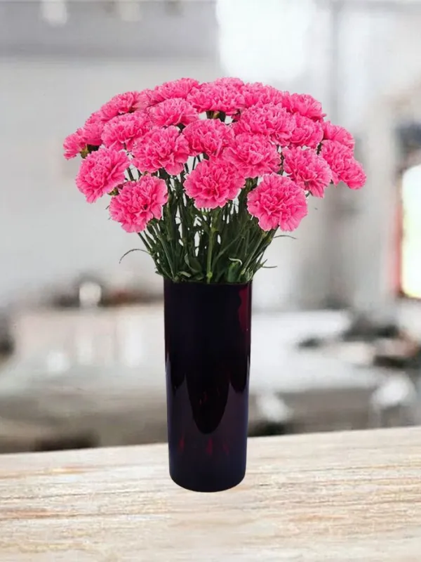 Produkt 21 różowych goździków Zdjęcie