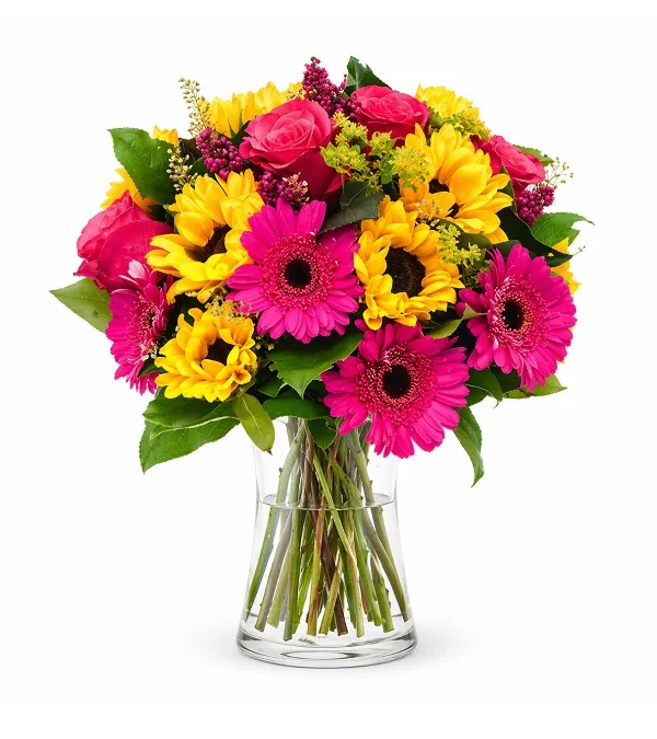 Produkt Lato w Pełni Zdjęcie