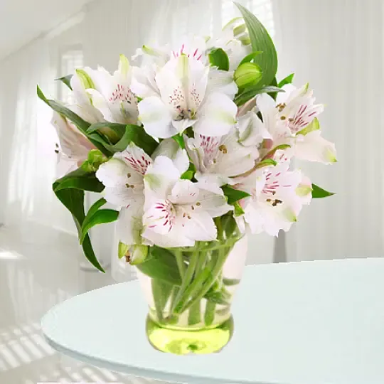 Produkt Białe Alstromerie Zdjęcie