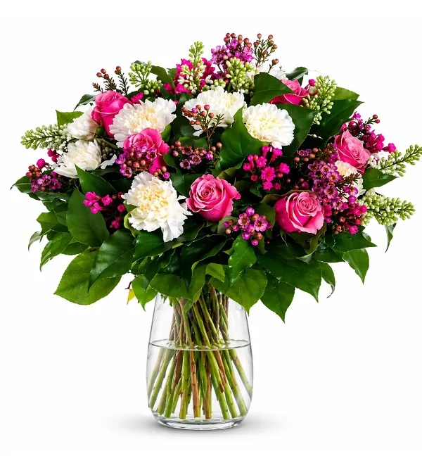 Produkt Świeże Początki Zdjęcie