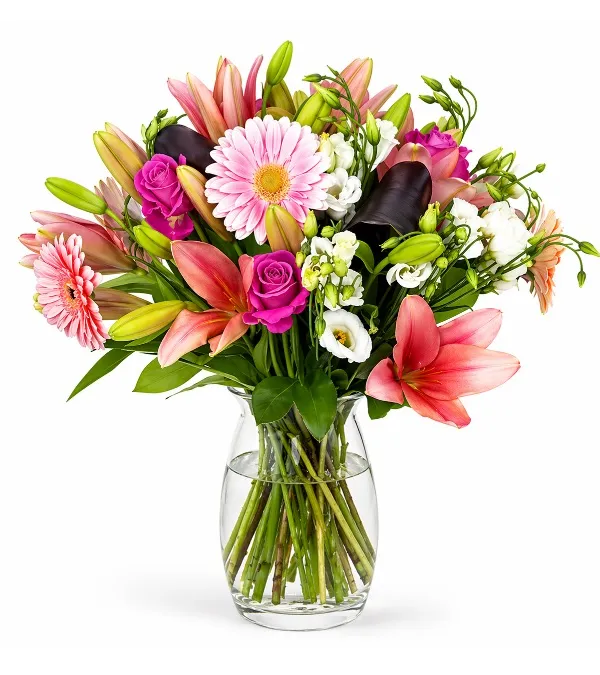 Produkt Słodki Rumieniec Zdjęcie