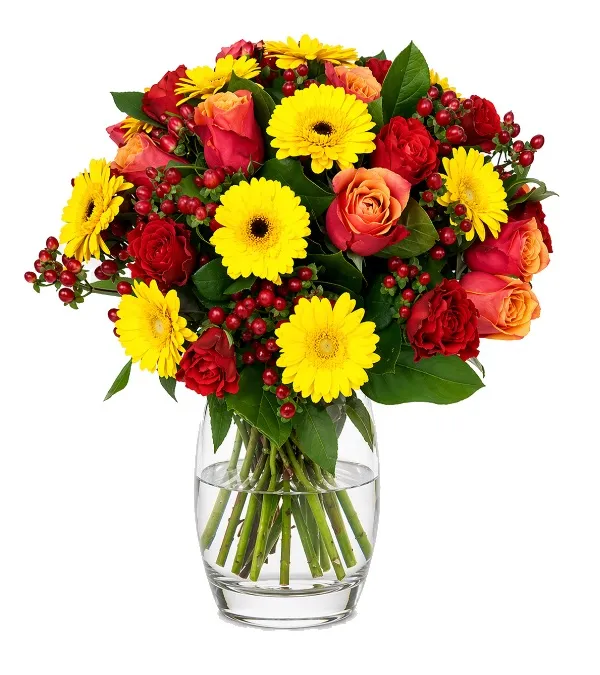 Produkt Letni Brzask Zdjęcie