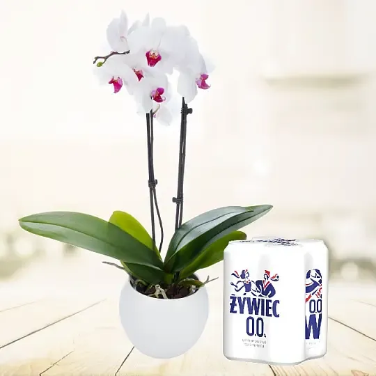 Produkt Storczyk i Żywiec Free Zdjęcie