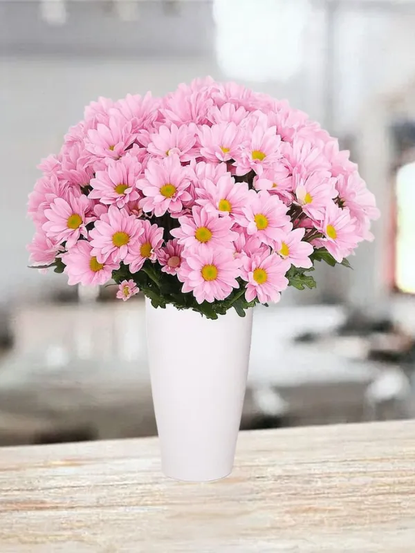 Produkt Różowe Margaretki Zdjęcie