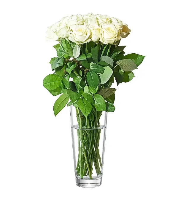 Produkt 15 Białych Róż Zdjęcie