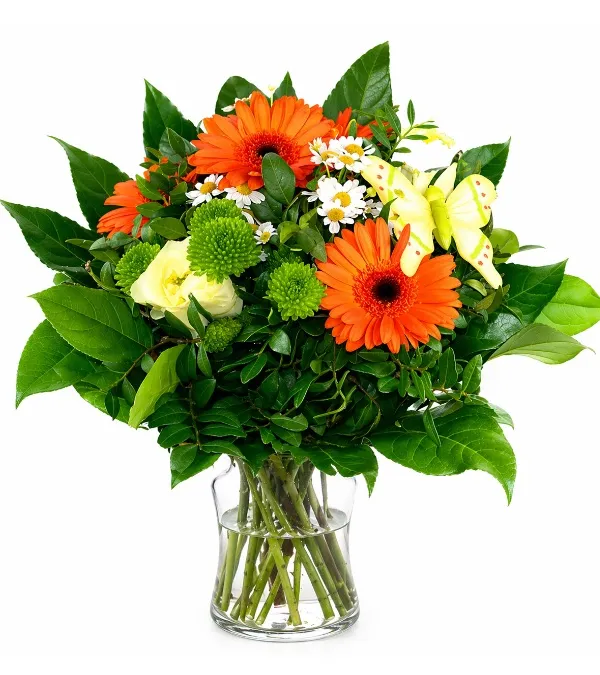 Produkt Powiew Wiosny Zdjęcie