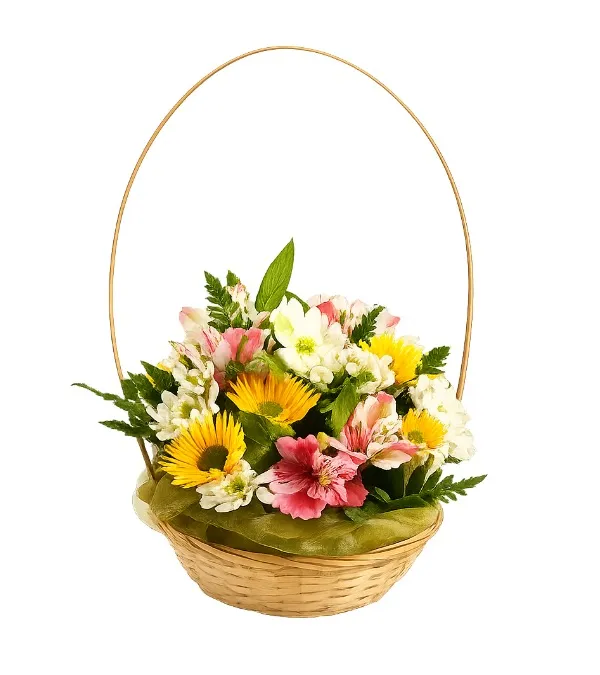 Produkt Subtelna Elegancja Zdjęcie